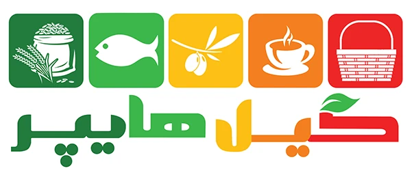 فروشگاه اینترنتی گیل هایپر