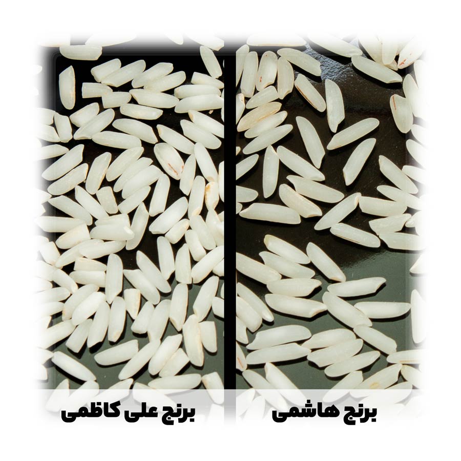 علی کاظمی